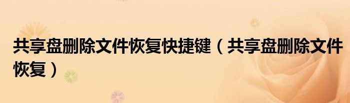 共享盘删除文件恢复快捷键(共享盘删除文件恢复)