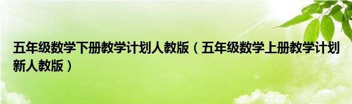 五年级数学下册教学计划人教版(五年级数学上册教学计划新人教版)