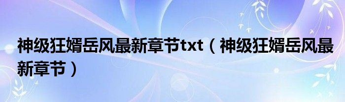 神级狂婿岳风最新章节txt(神级狂婿岳风最新章节)
