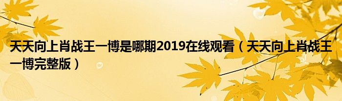 天天向上肖战王一博是哪期2019在线观看(天天向上肖战王一博完整版)