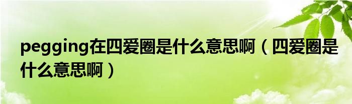 pegging在四爱圈是什么意思啊(四爱圈是什么意思啊)
