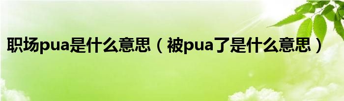 职场pua是什么意思(被pua了是什么意思)