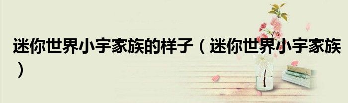 迷你世界小宇家族的样子(迷你世界小宇家族)
