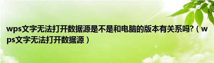 wps文字无法打开数据源是不是和电脑的版本有关系吗?(wps文字无法打开数据源)