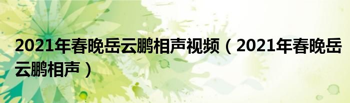 2021年春晚岳云鹏相声视频(2021年春晚岳云鹏相声)