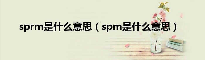 sprm是什么意思(spm是什么意思)