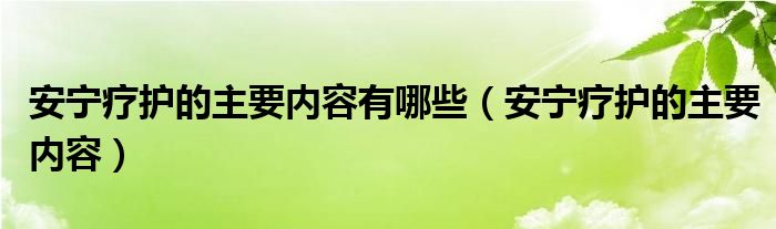 安宁疗护的主要内容有哪些(安宁疗护的主要内容)
