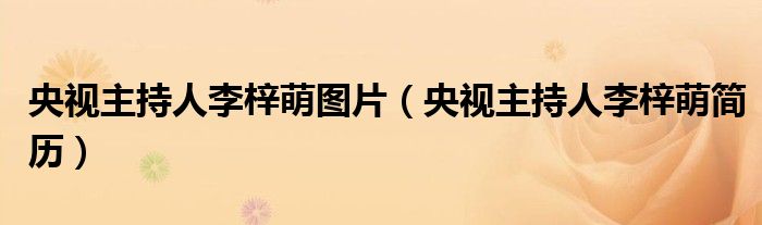 央视主持人李梓萌图片(央视主持人李梓萌简历)