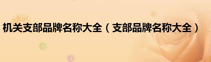 机关支部品牌名称大全(支部品牌名称大全)