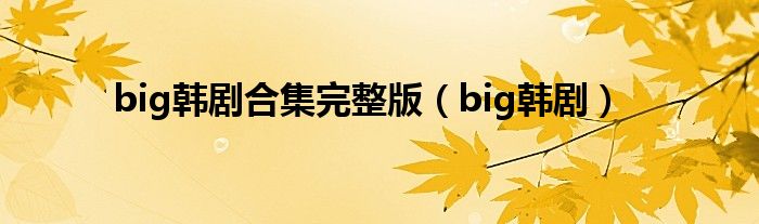 big韩剧合集完整版(big韩剧)