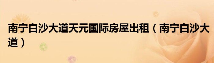 南宁白沙大道天元国际房屋出租(南宁白沙大道)