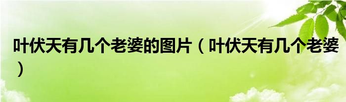 叶伏天有几个老婆的图片(叶伏天有几个老婆)