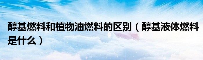 醇基燃料和植物油燃料的区别(醇基液体燃料是什么)
