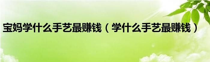 宝妈学什么手艺最赚钱(学什么手艺最赚钱)