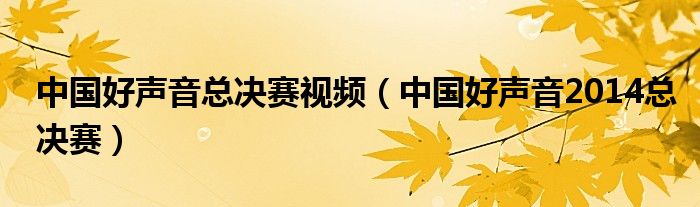 中国好声音总决赛视频(中国好声音2014总决赛)