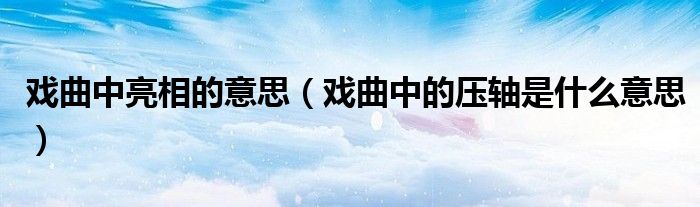 戏曲中亮相的意思(戏曲中的压轴是什么意思)