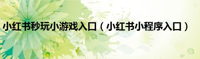 小红书秒玩小游戏入口(小红书小程序入口)