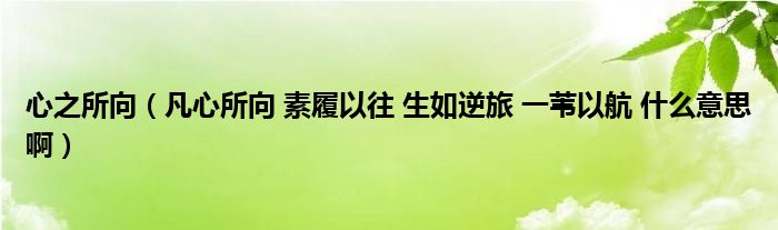 心之所向(凡心所向 素履以往 生如逆旅 一苇以航 什么意思啊)