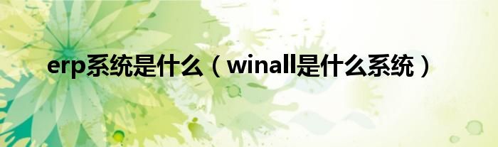 erp系统是什么(winall是什么系统)