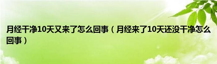 月经干净10天又来了怎么回事(月经来了10天还没干净怎么回事)