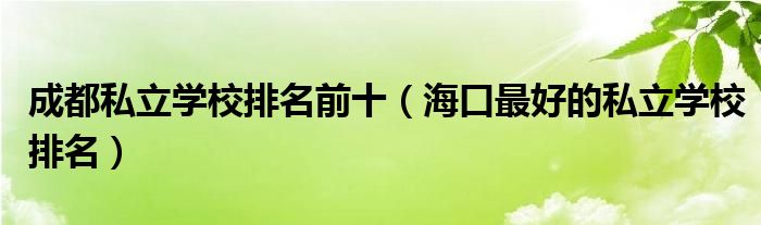 成都私立学校排名前十(海口最好的私立学校排名)