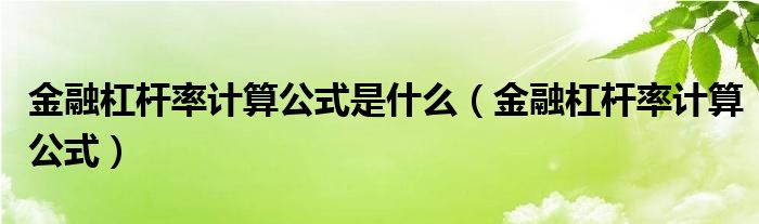 金融杠杆率计算公式是什么(金融杠杆率计算公式)