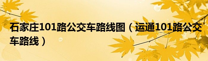 石家庄101路公交车路线图(运通101路公交车路线)