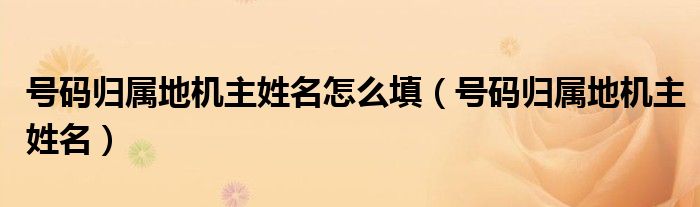 号码归属地机主姓名怎么填(号码归属地机主姓名)