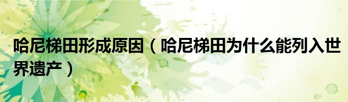 哈尼梯田形成原因(哈尼梯田为什么能列入世界遗产)
