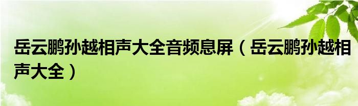 岳云鹏孙越相声大全音频息屏(岳云鹏孙越相声大全)