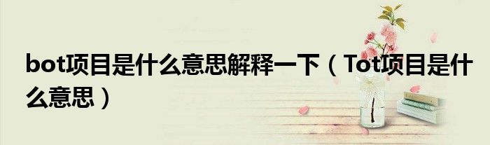 bot项目是什么意思解释一下(Tot项目是什么意思)