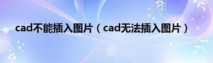 cad不能插入图片(cad无法插入图片)