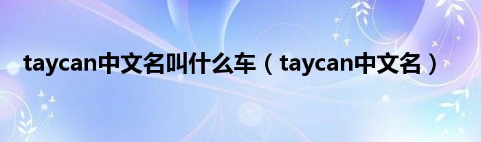 taycan中文名叫什么车(taycan中文名)