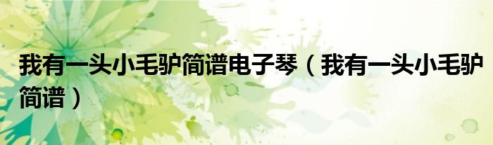 我有一头小毛驴简谱电子琴(我有一头小毛驴简谱)