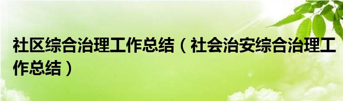 社区综合治理工作总结(社会治安综合治理工作总结)