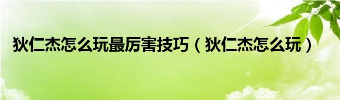 狄仁杰怎么玩最厉害技巧(狄仁杰怎么玩)