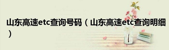 山东高速etc查询号码(山东高速etc查询明细)