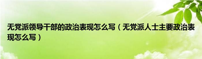 无党派领导干部的政治表现怎么写(无党派人士主要政治表现怎么写)