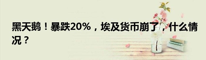 黑天鹅!暴跌20%,埃及货币崩了,什么情况?