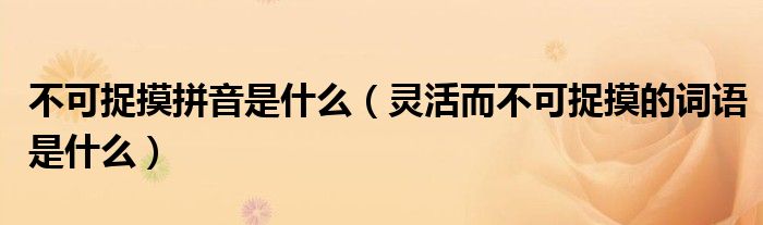 不可捉摸拼音是什么(灵活而不可捉摸的词语是什么)