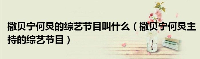 撒贝宁何炅的综艺节目叫什么(撒贝宁何炅主持的综艺节目)
