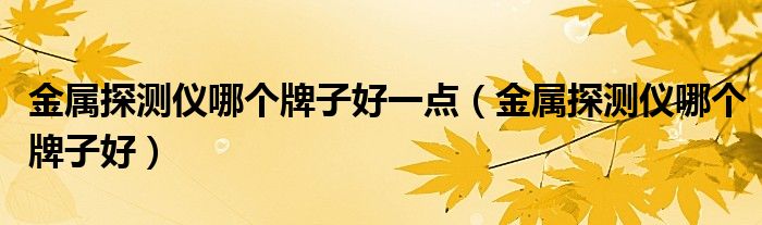 金属探测仪哪个牌子好一点（金属探测仪哪个牌子好）