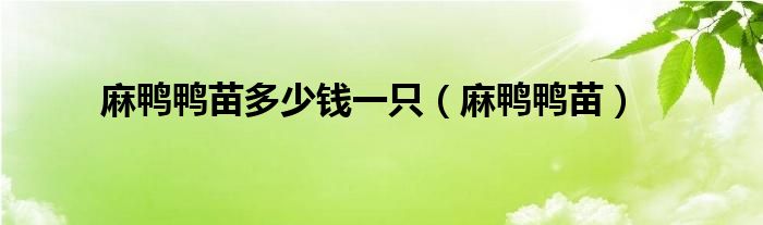 麻鸭鸭苗多少钱一只(麻鸭鸭苗)