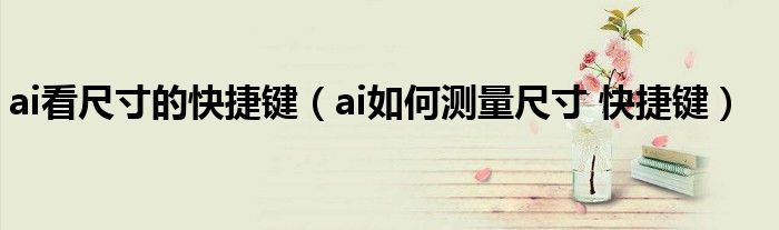 ai看尺寸的快捷键(ai如何测量尺寸 快捷键)