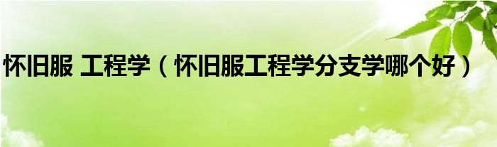 怀旧服 工程学(怀旧服工程学分支学哪个好)
