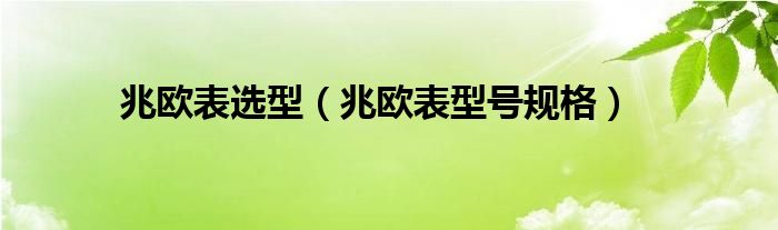 兆欧表选型(兆欧表型号规格)