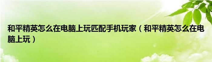 和平精英怎么在电脑上玩匹配手机玩家（和平精英怎么在电脑上玩）