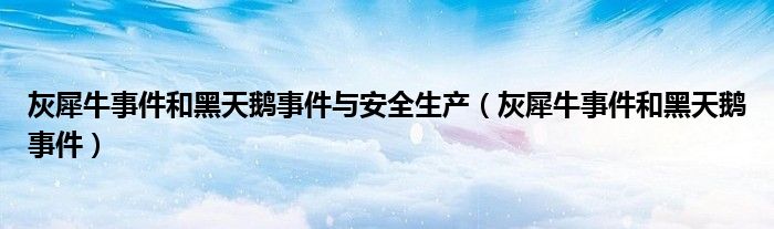 灰犀牛事件和黑天鹅事件与安全生产（灰犀牛事件和黑天鹅事件）