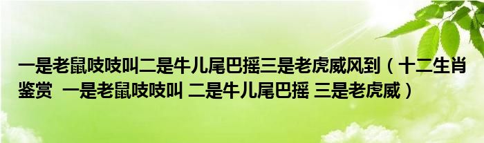 一是老鼠吱吱叫二是牛儿尾巴摇三是老虎威风到(十二生肖鉴赏 一是老鼠吱吱叫 二是牛儿尾巴摇 三是老虎威)