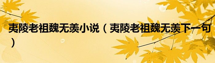 夷陵老祖魏无羡小说(夷陵老祖魏无羡下一句)